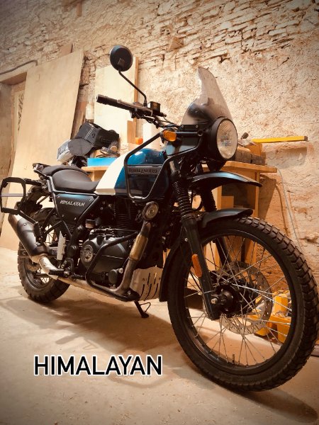 Himalayan.jpg