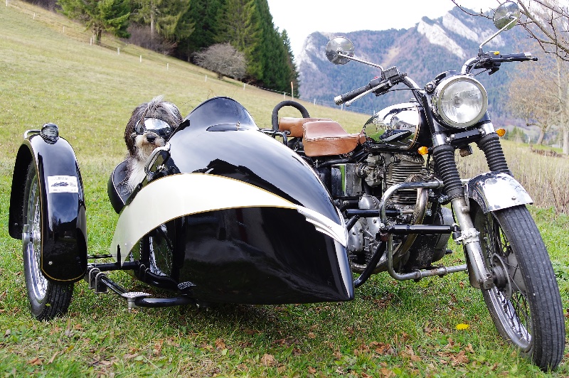 20251111 02 Side royal Enfield Venus-2K.jpg