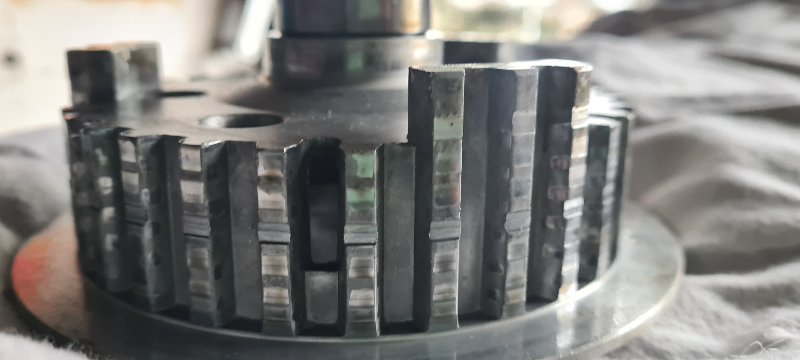 20260124_160338.jpg