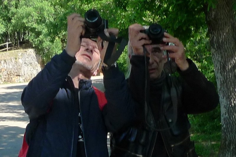 P1150084.JPG