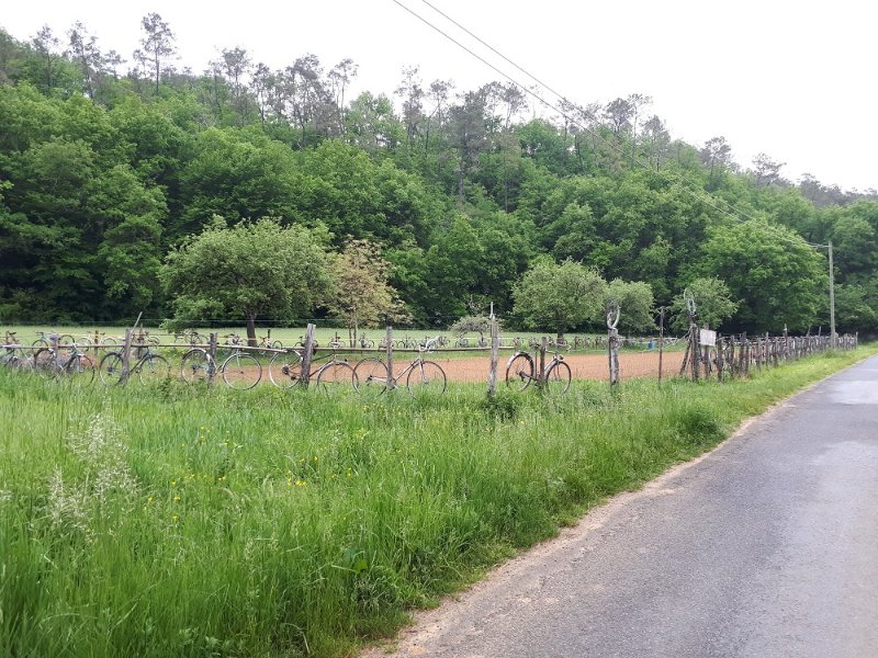 20180509_110022.jpg